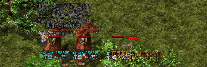 召唤流起步以后如何进阶？技能+配装宝宝流真香！