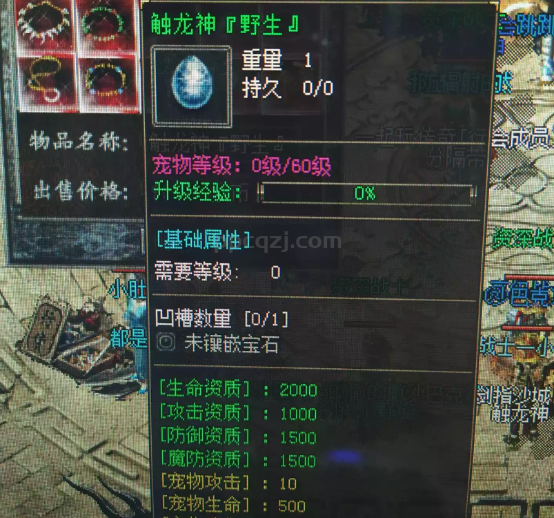 今天给大家看下全服最牛B的宝宝